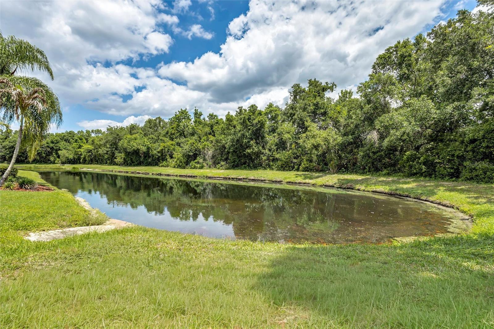 MILL CREEK - Residential