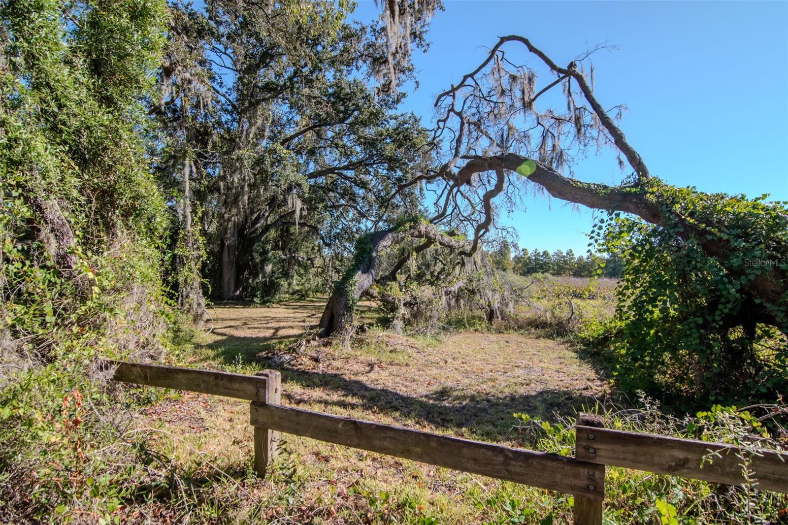 HAMNERS W E FOREST ACRES - Residential