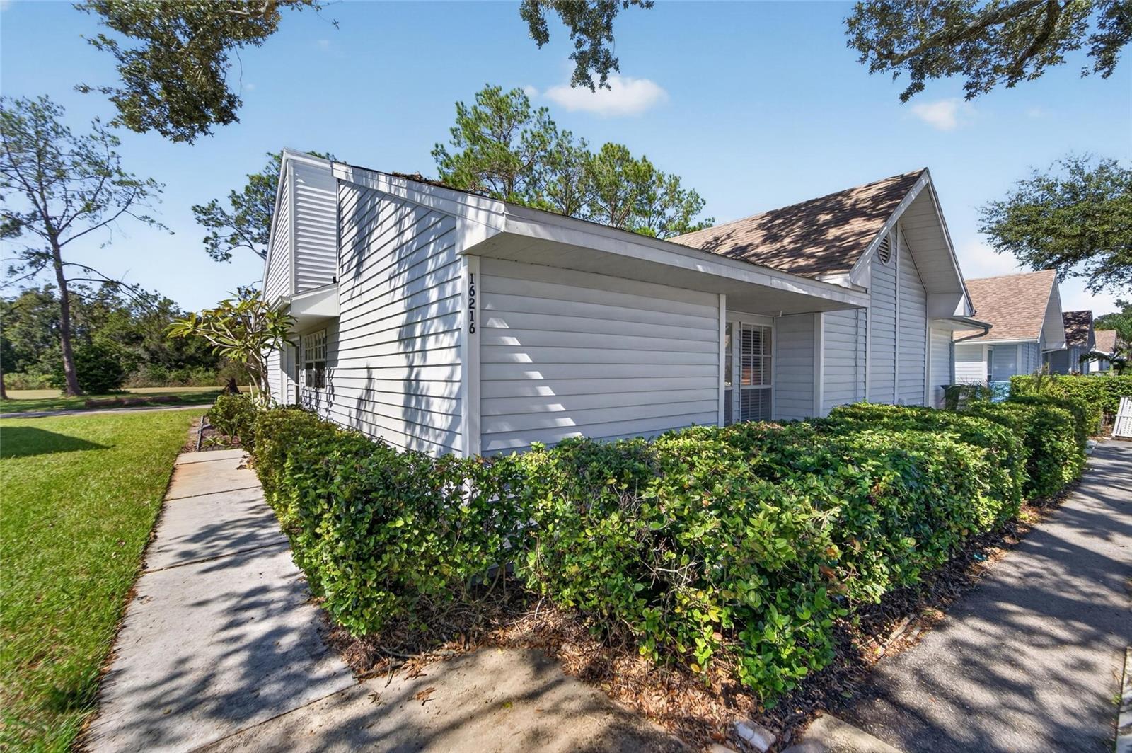 16216 RAMBLING VINE DRIVE W