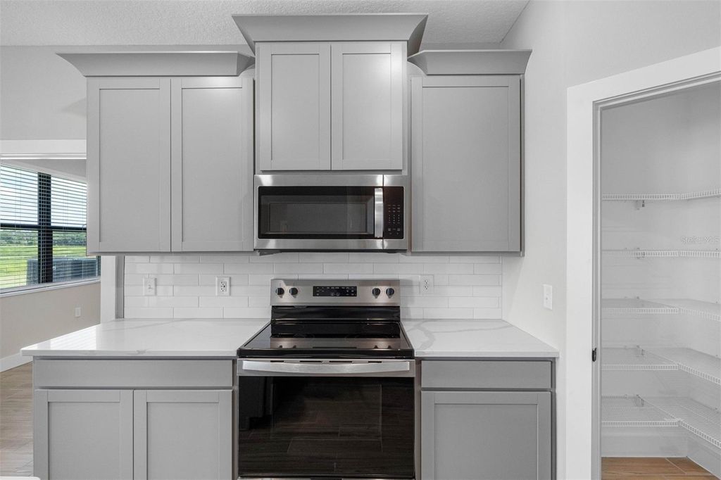 Photo of 13444 Lake Gallagher Drive, Dover, FL 33527 (MLS # TB8453897)