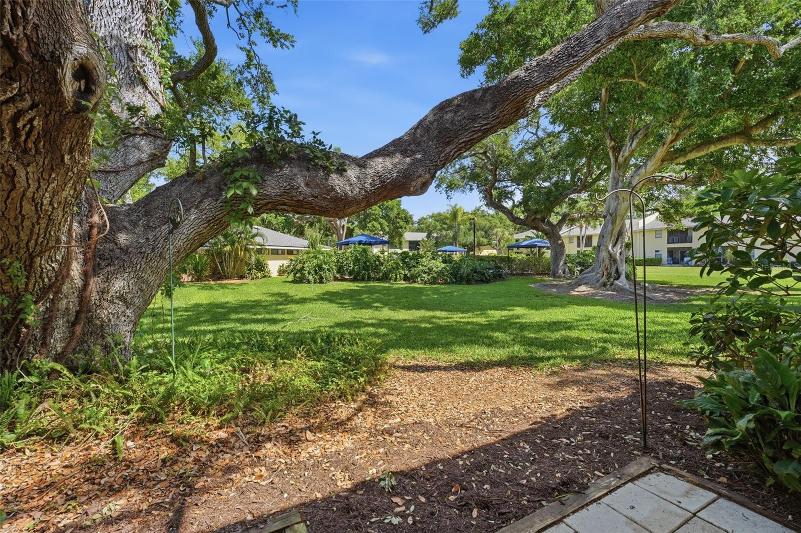 ARBOR GROVE CONDO - Residential