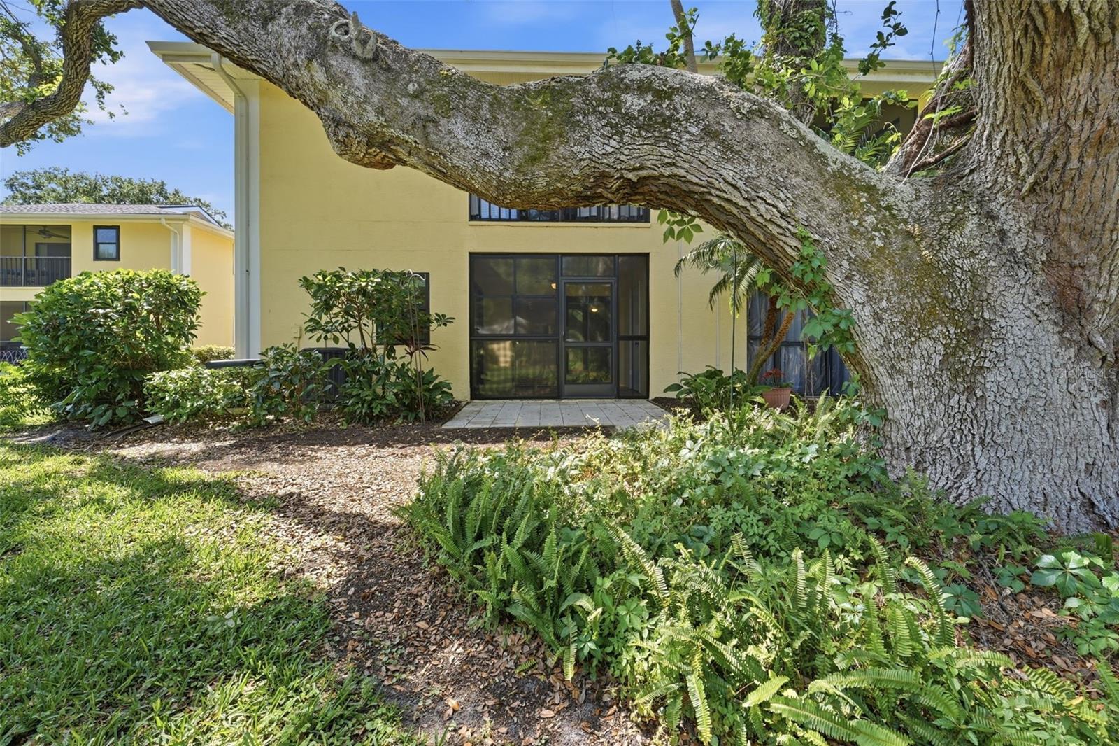 ARBOR GROVE CONDO - Residential