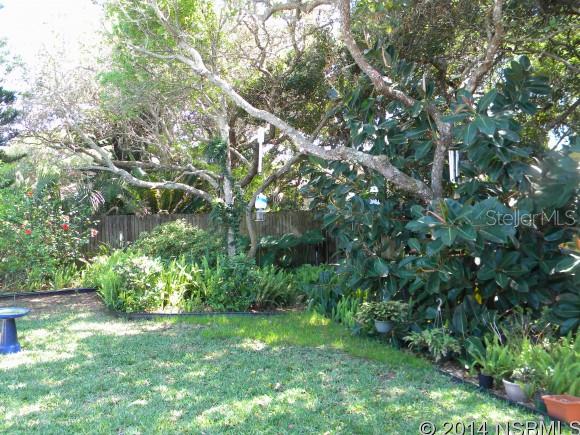 New Smyrna Beach - Residential