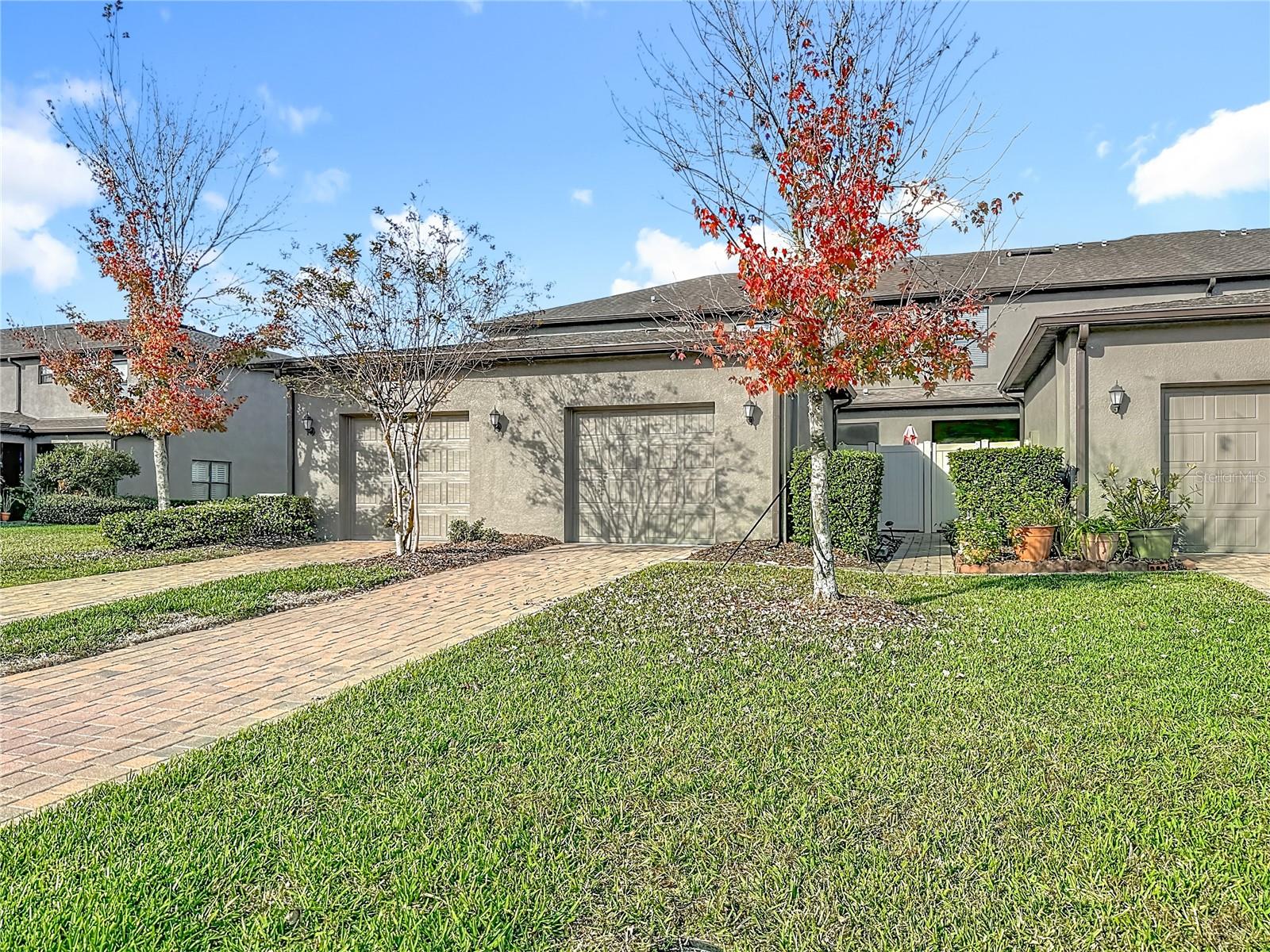 ARBORS/WIREGRASS RANCH - Residential