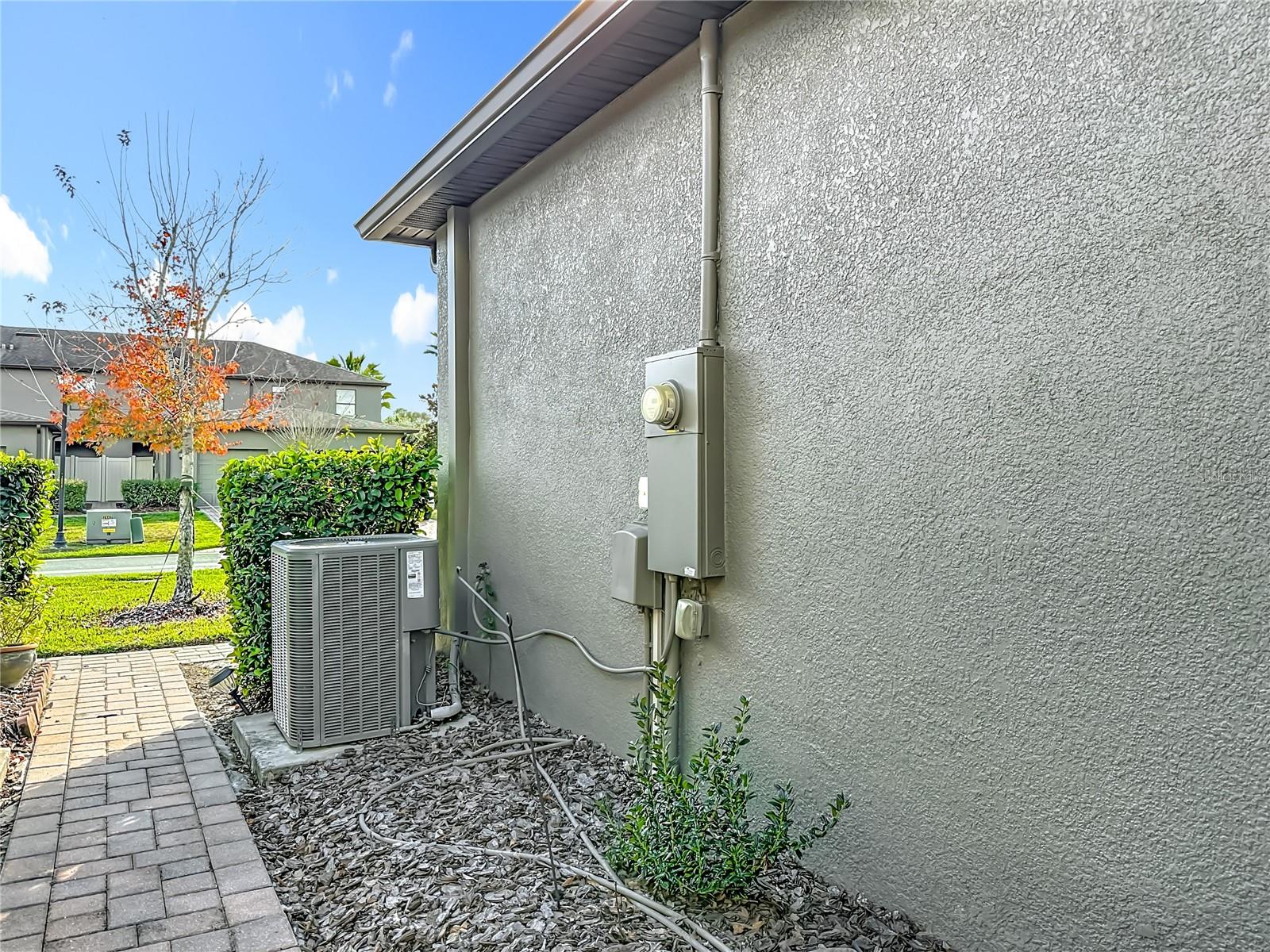 ARBORS/WIREGRASS RANCH - Residential