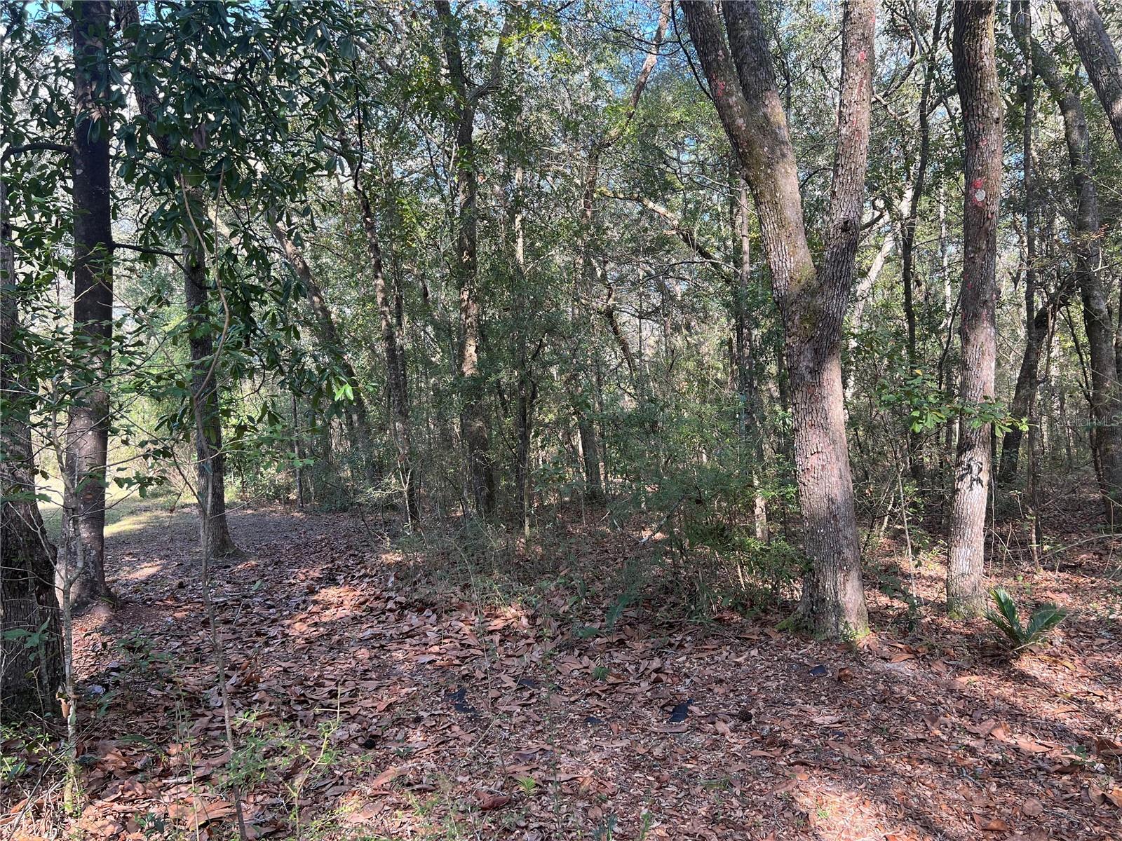 HIGH SPGS HEIGHTS SUB - Residential