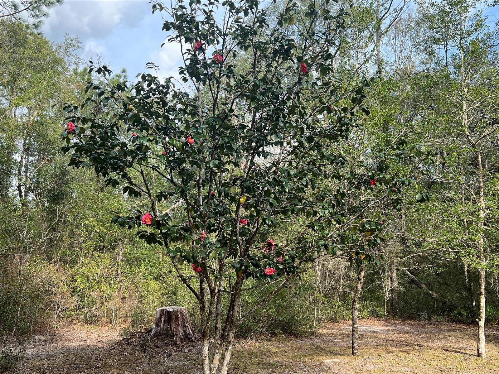 HIGH SPGS HEIGHTS SUB - Residential