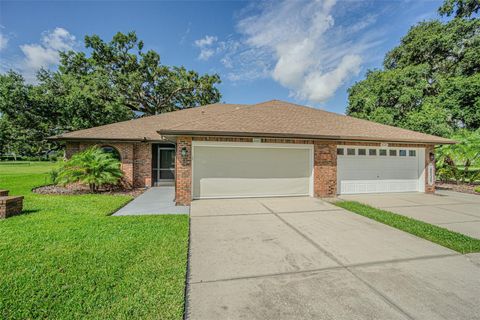 Photo of 6533 Brentwood Drive, Zephyrhills, FL 33542 (MLS # TB8408763)