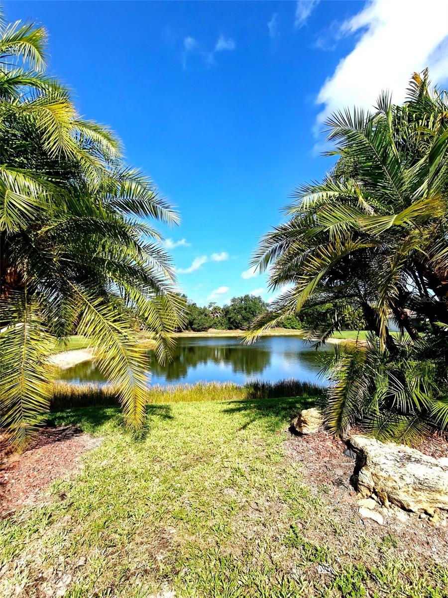 STONEYBROOK AT VENICE - Residential