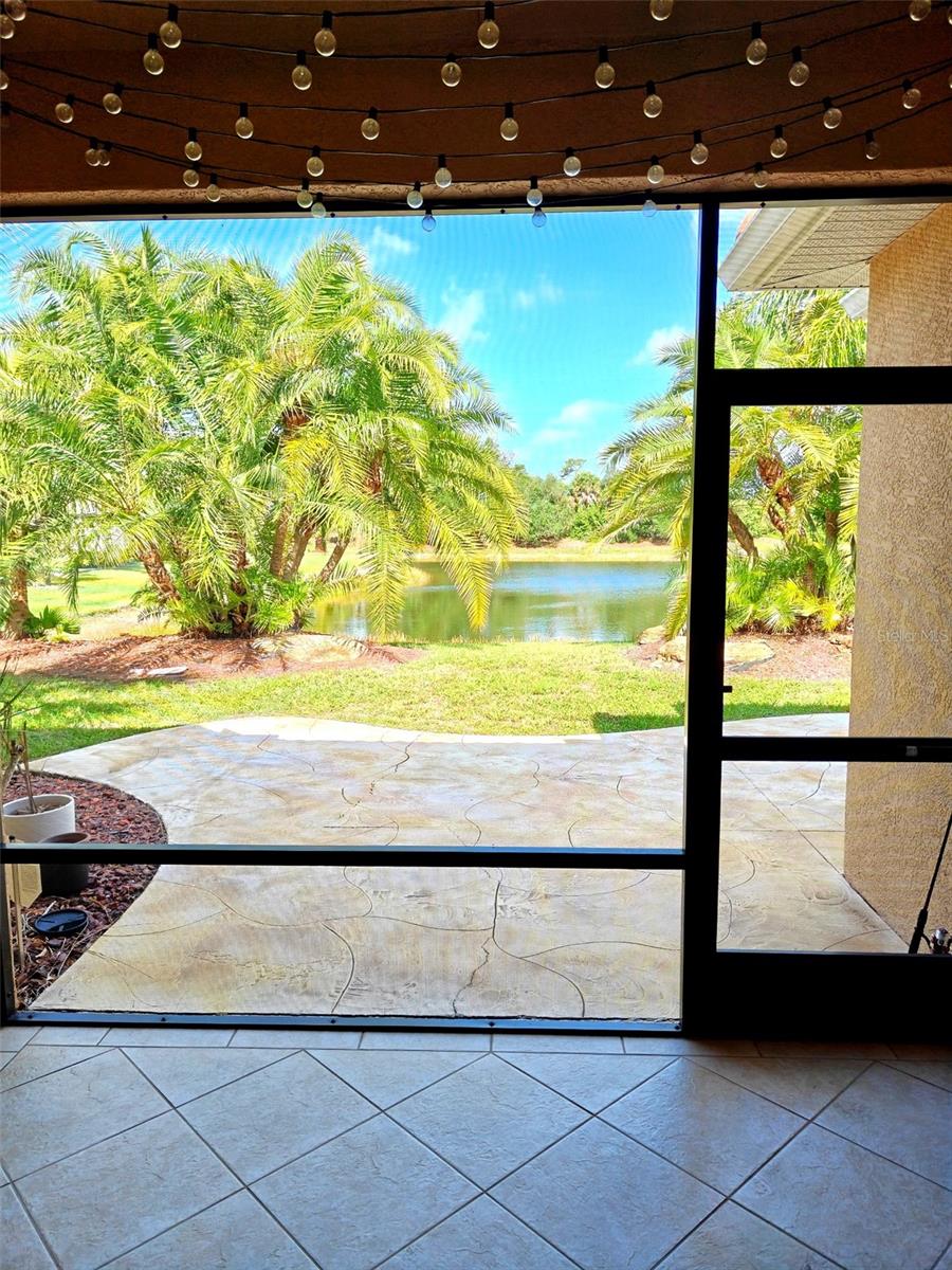 STONEYBROOK AT VENICE - Residential