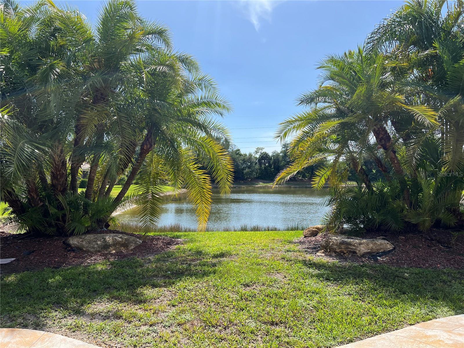STONEYBROOK AT VENICE - Residential
