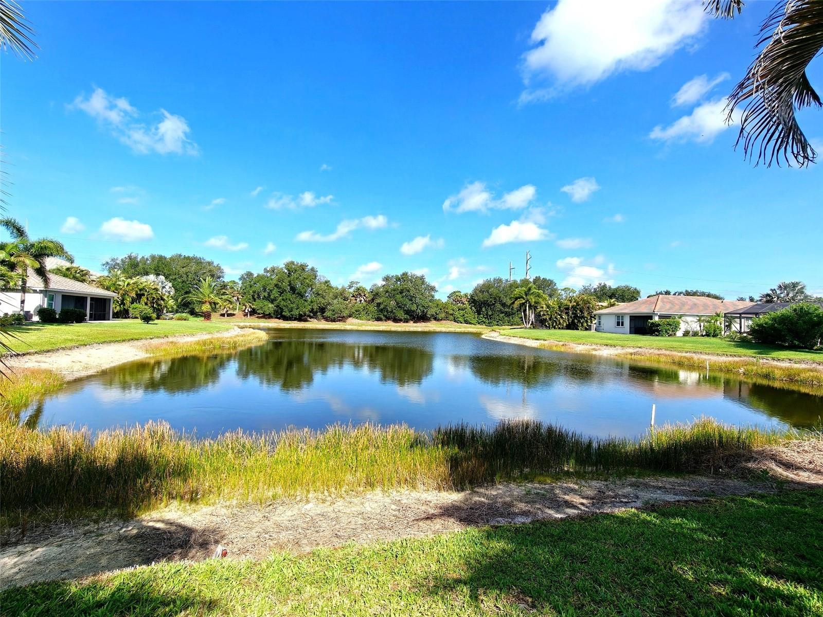 2344 CARAWAY DRIVE