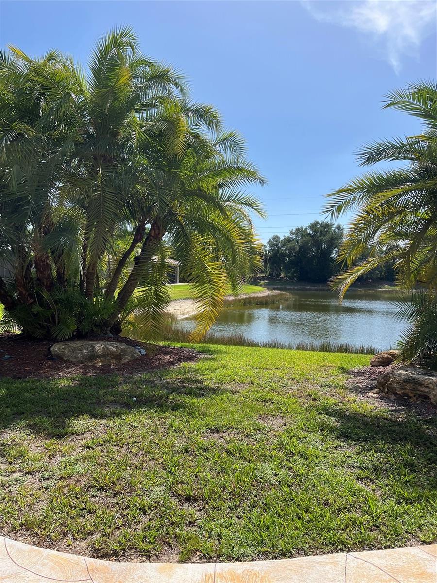 2344 CARAWAY DRIVE