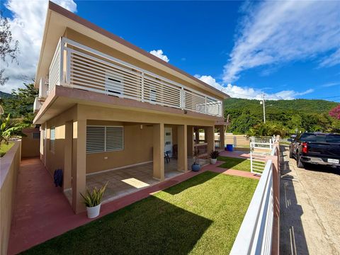 carr #3 JUST 1 MINUTE BEACH PATILLAS  00723