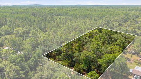 Photo of 8266 W Anna Gail Lane, Crystal River, FL 34429 (MLS # OM725005)