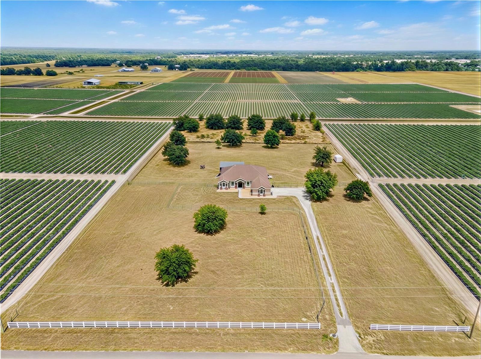 HALLS BRANCH ESTATES - Residential