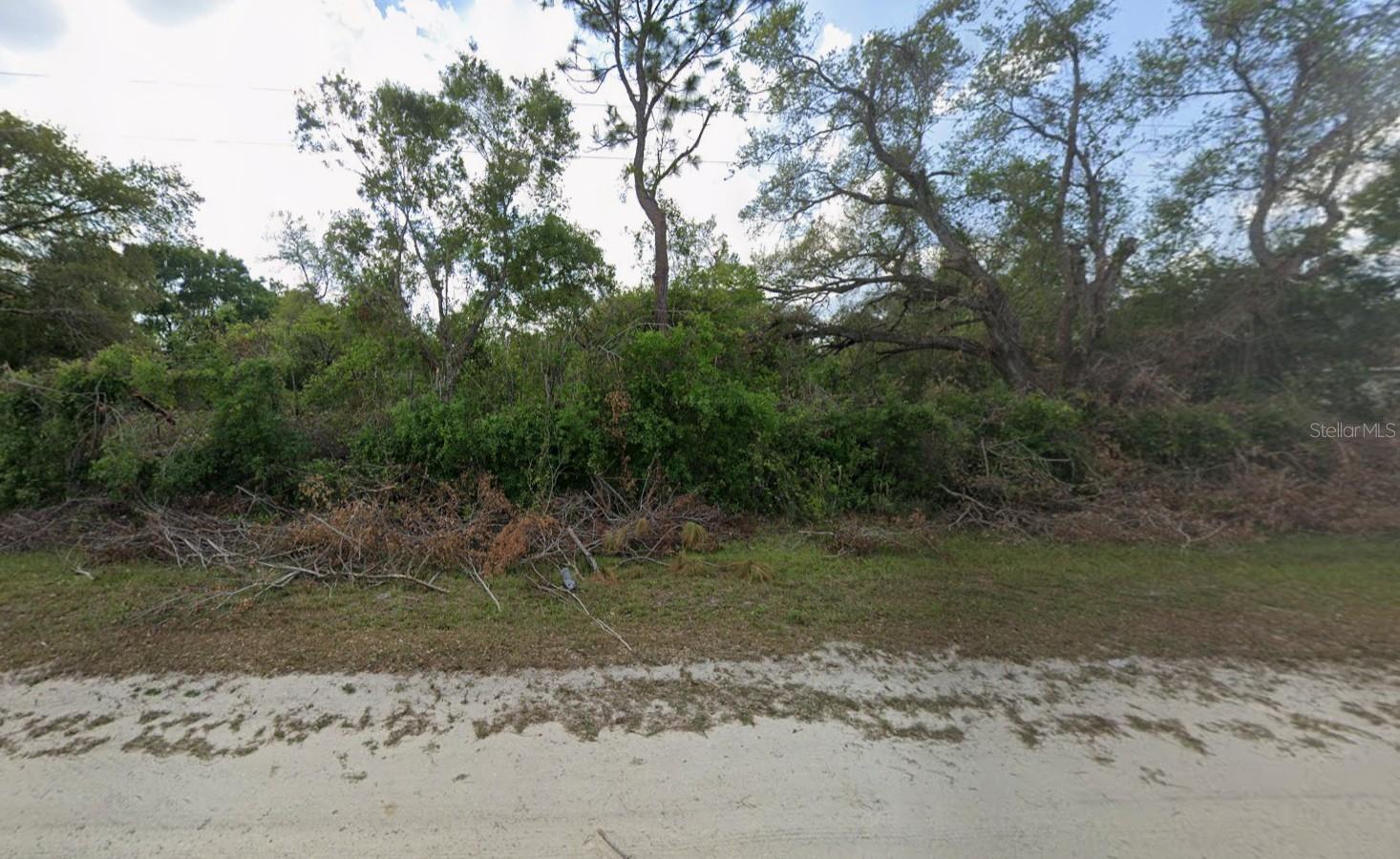 ORANGE BLOSSOM RANCHES - Land