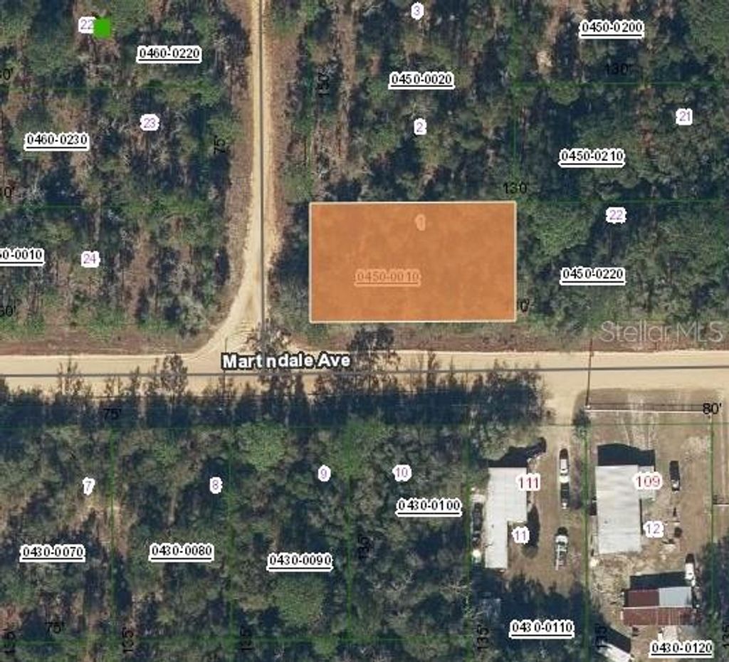 Photo of Lot 1 Martinedale Avenue, Interlachen, FL 32148 (MLS # O6403636)