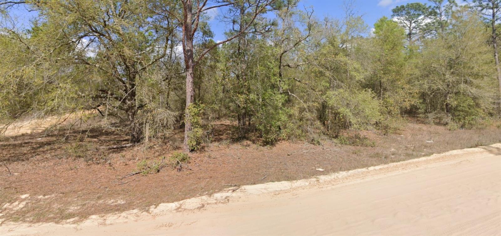 INTERLACHEN LAKES ESTATES - Land