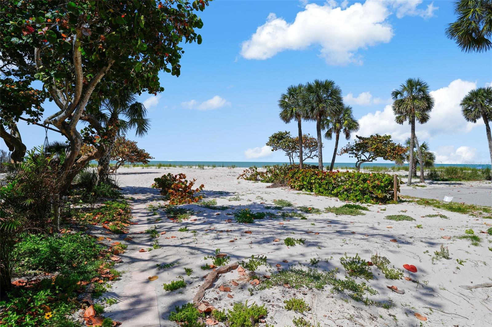 MITCHELLS BEACH REV - Commercial Sale