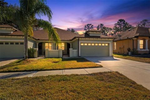 Photo of 9255 Southern Charm Circle, Brooksville, FL 34613 (MLS # W7882662)