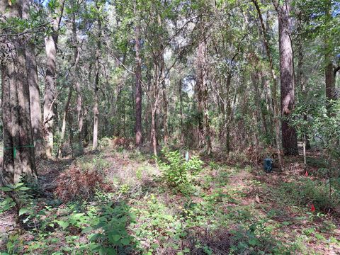 2164 SW 37 COURT GAINESVILLE FL 32608
