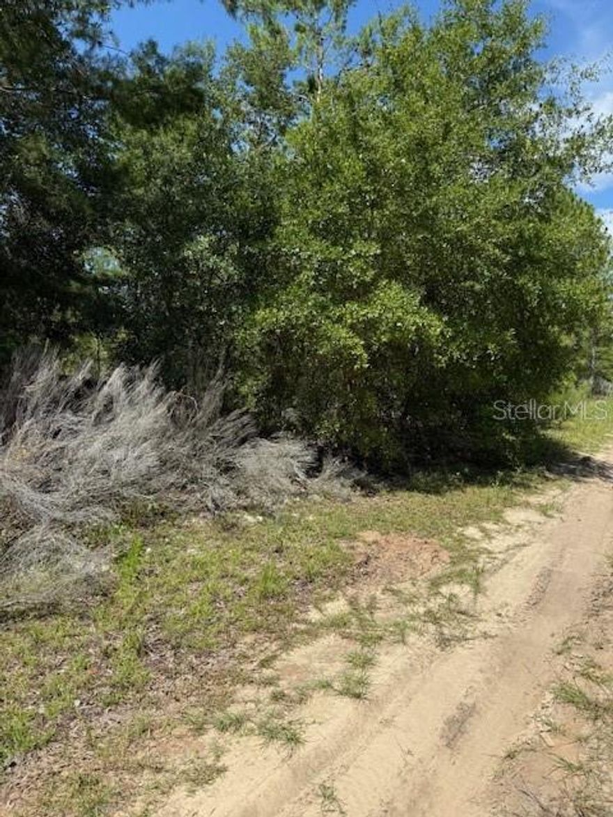 111 South Dakota Street is one of four continuous lot for sale, full package is $22,000, making this property 160' x 1110' depth.  Great value for your future homestead.  This is zoned multi-family, very low taxes.   Located close to major Highway 20.