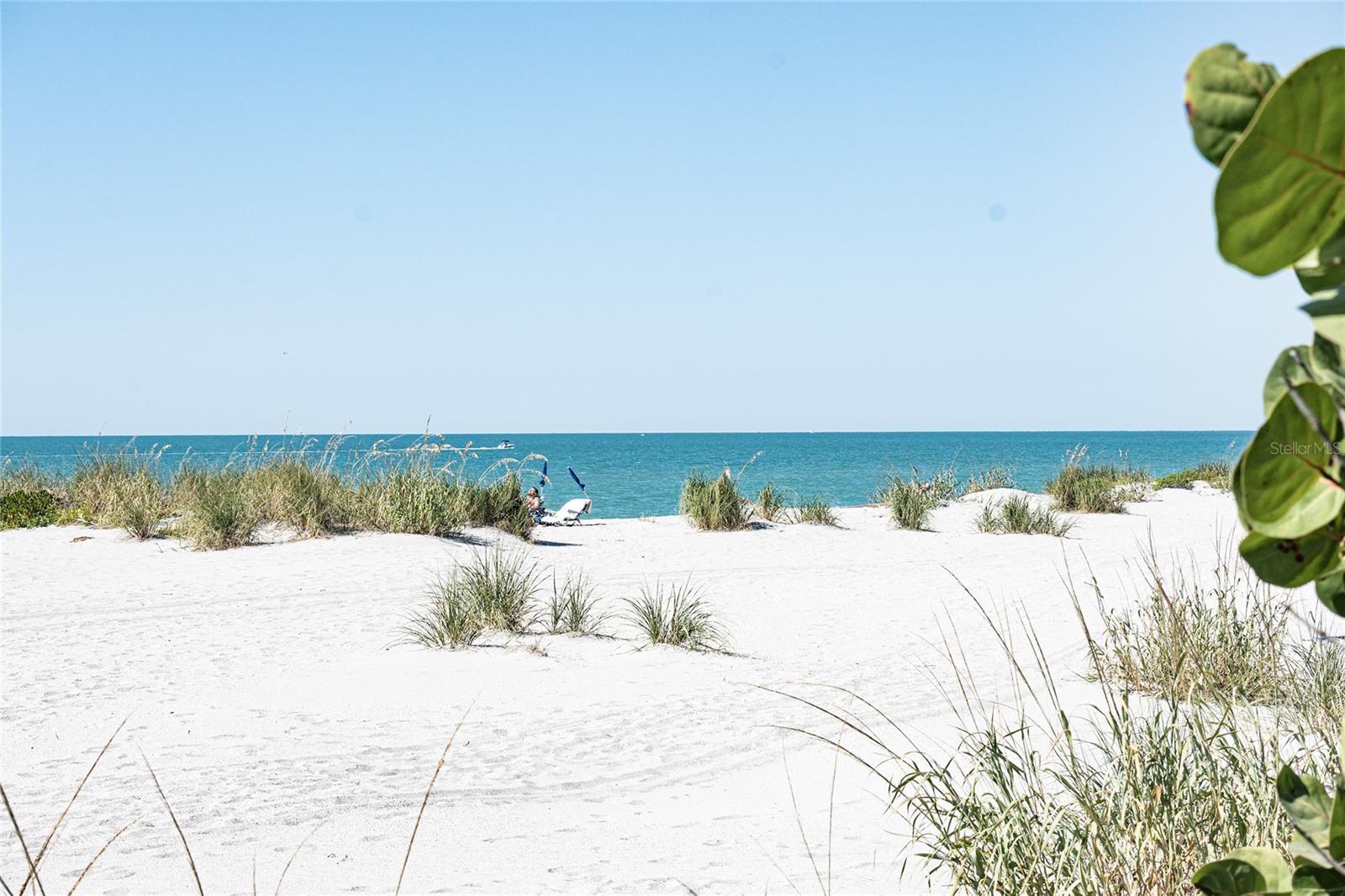 FARMINGTON VISTAS - Residential