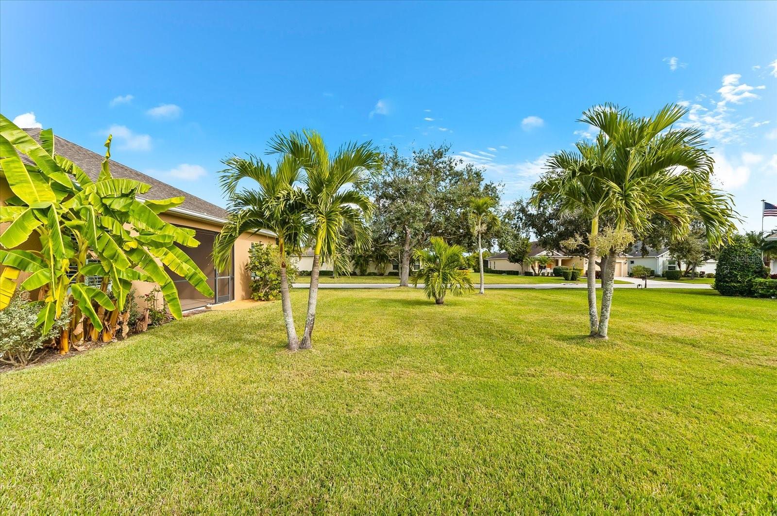 FOREST CREEK PH I & IIA - Residential