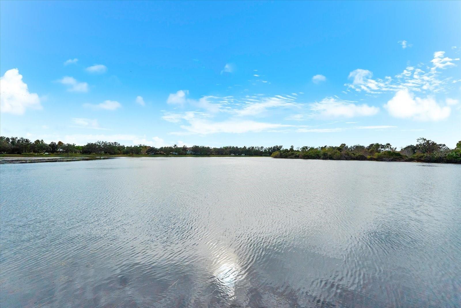 FOREST CREEK PH I & IIA - Residential