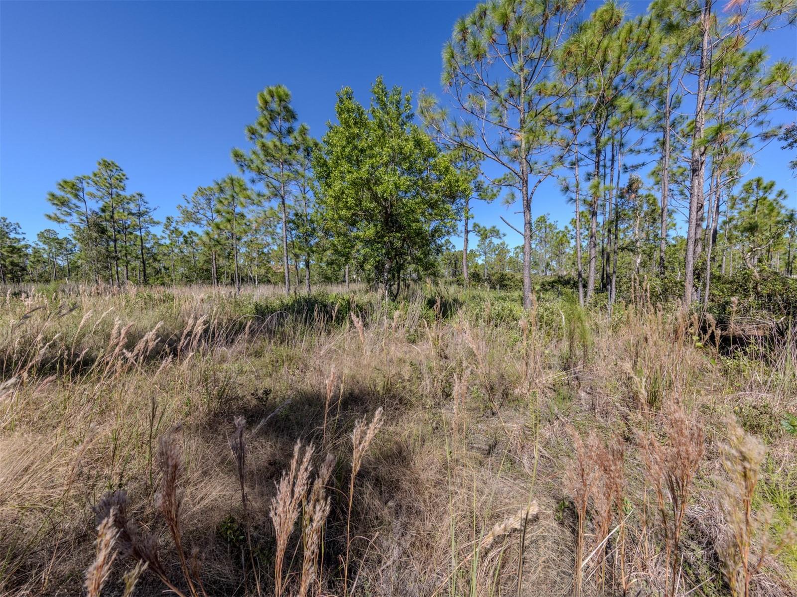 CHARLOTTE COUNTY - Land