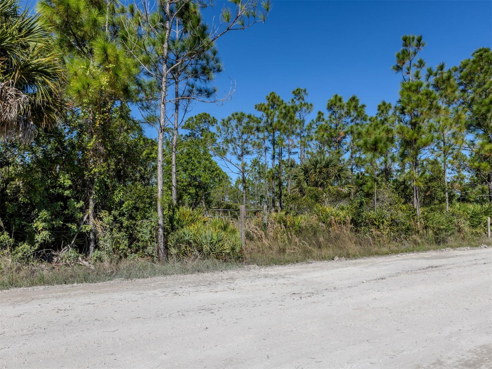 CHARLOTTE COUNTY - Land