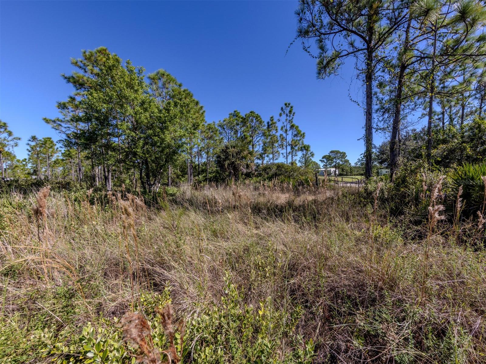 CHARLOTTE COUNTY - Land