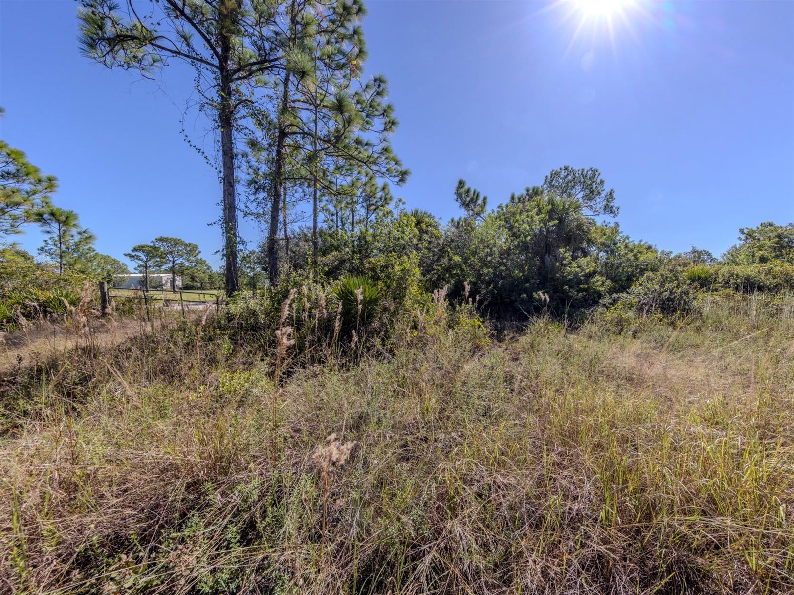 CHARLOTTE COUNTY - Land