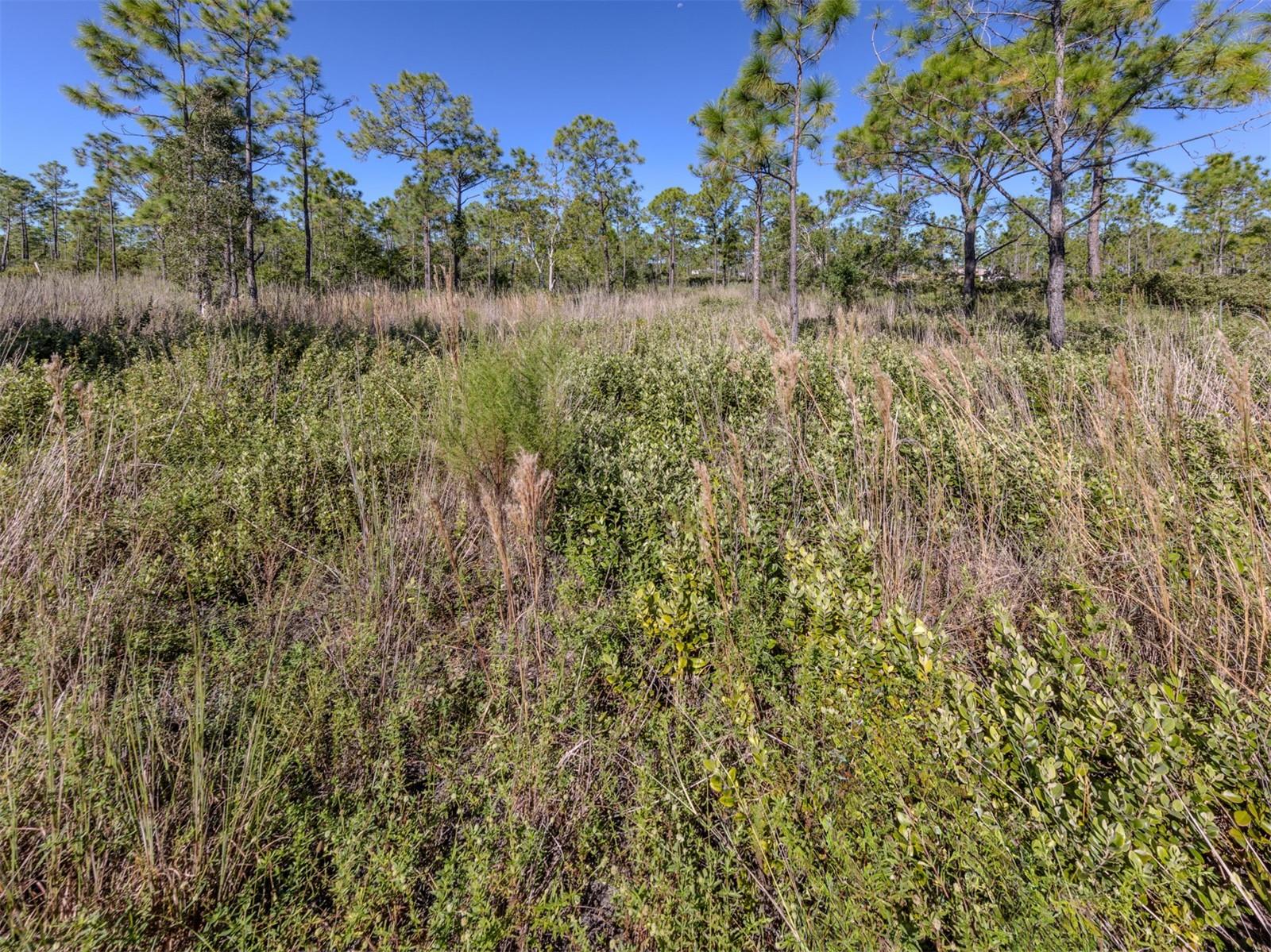 CHARLOTTE COUNTY - Land