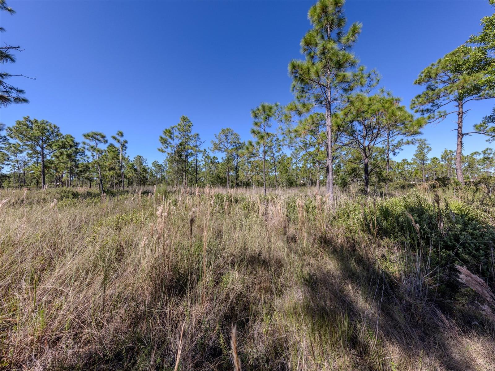 CHARLOTTE COUNTY - Land