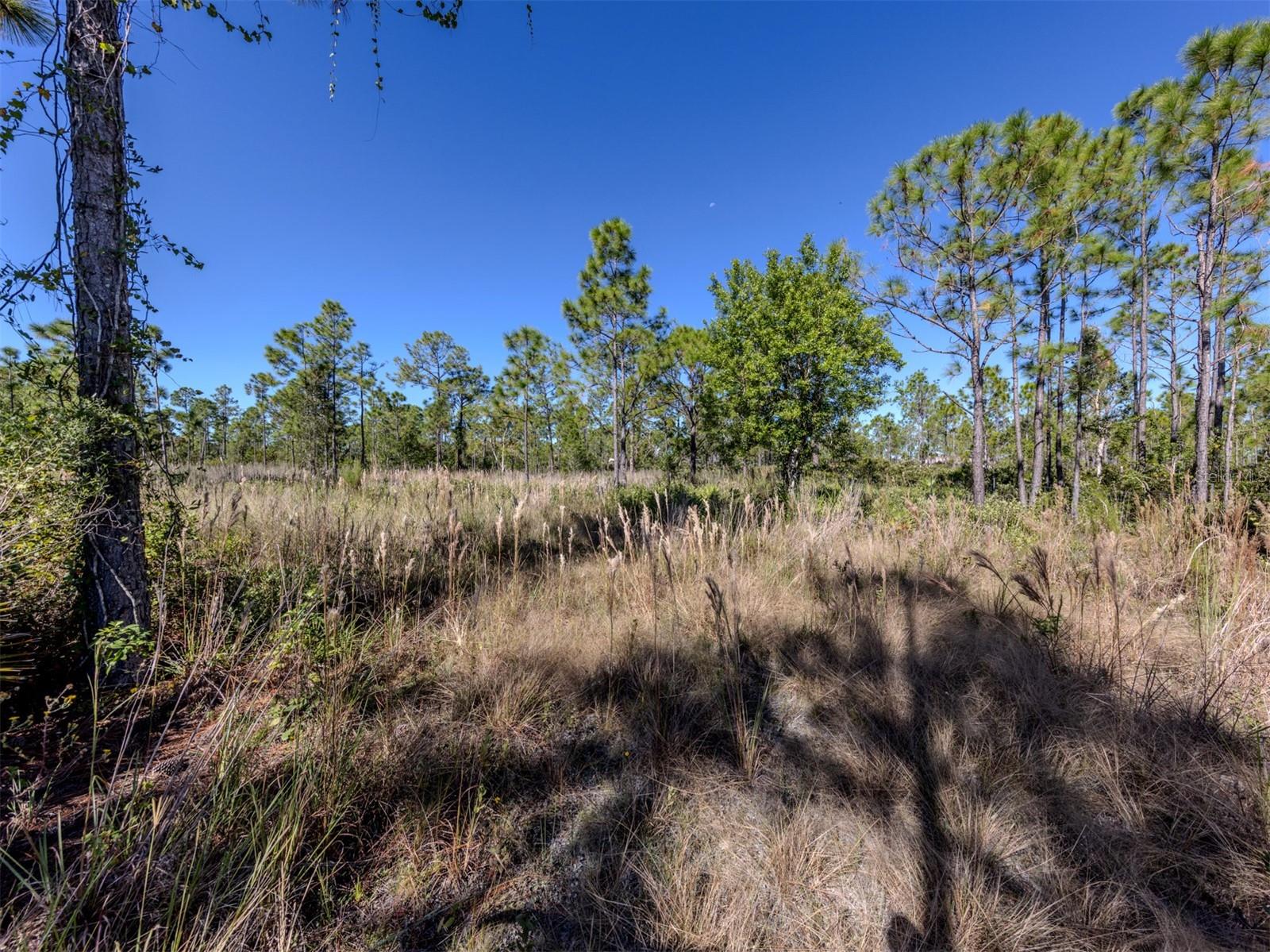 CHARLOTTE COUNTY - Land