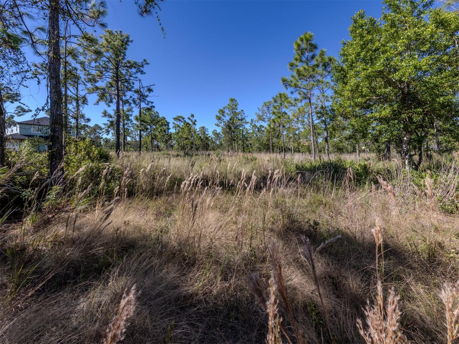 CHARLOTTE COUNTY - Land