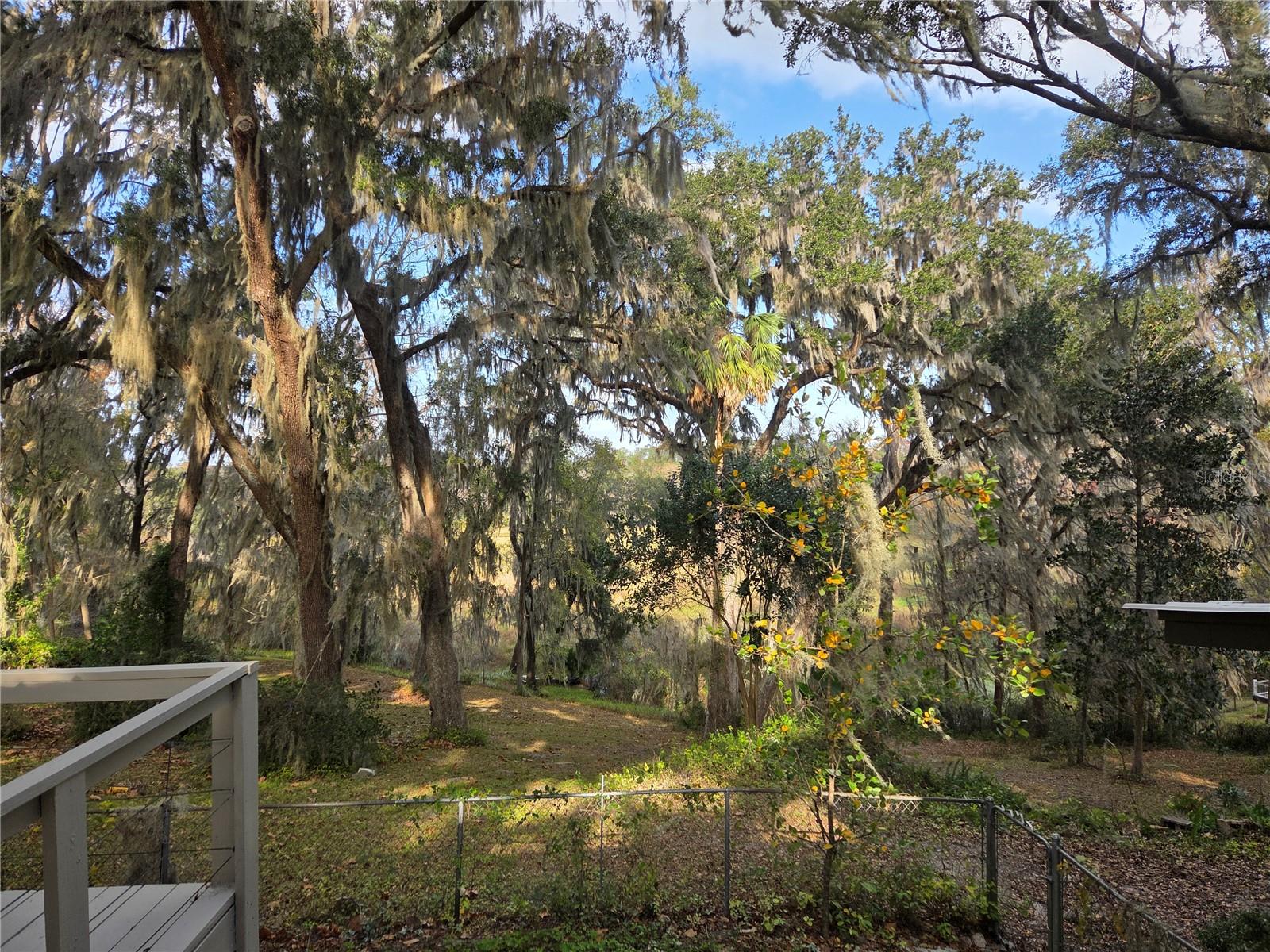 COLCLOUGH HILL 1ST ADDN-CLINCH GRT - Residential