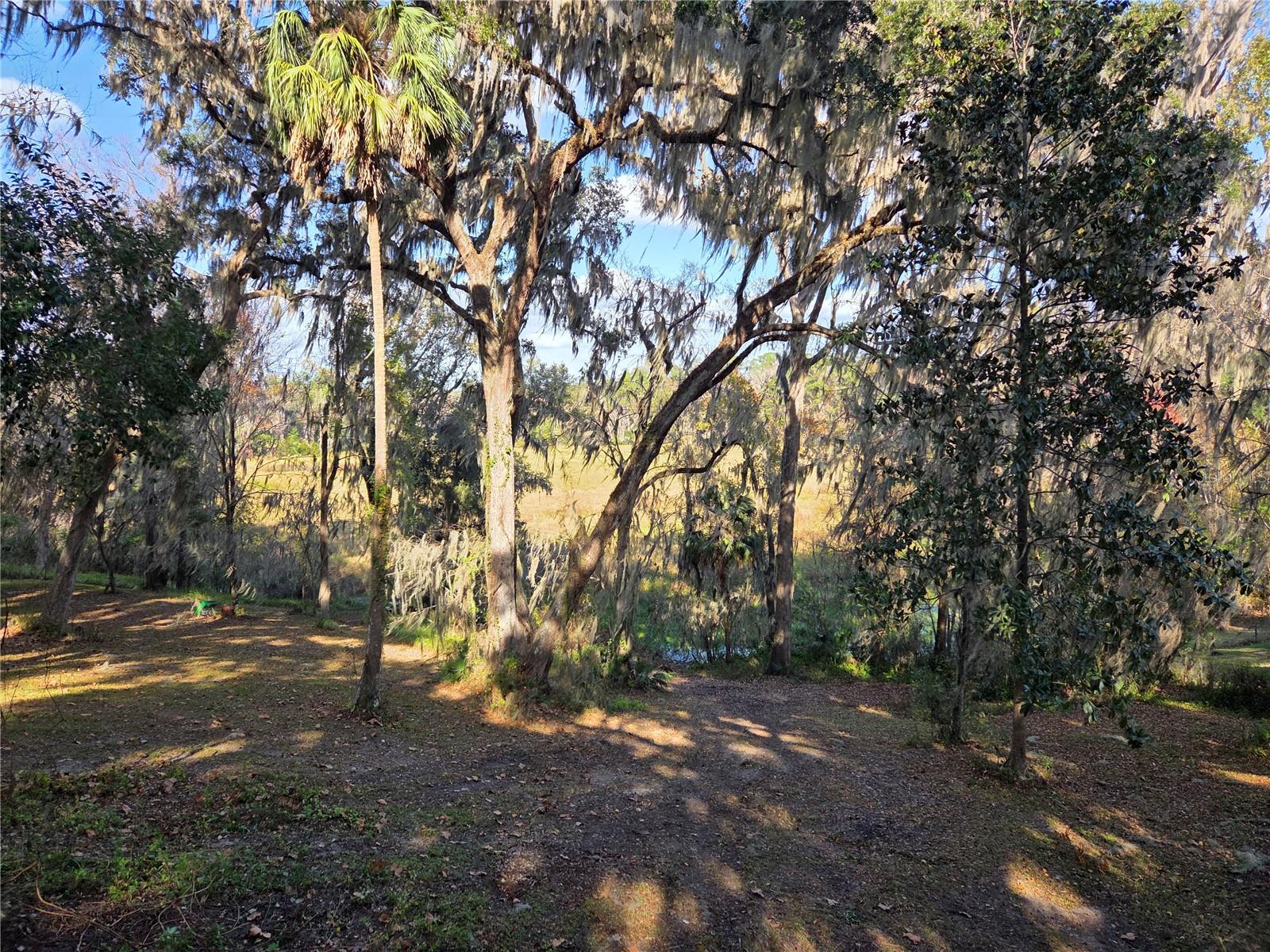 COLCLOUGH HILL 1ST ADDN-CLINCH GRT - Residential