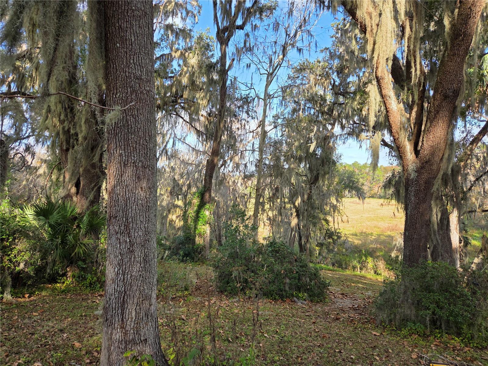 COLCLOUGH HILL 1ST ADDN-CLINCH GRT - Residential