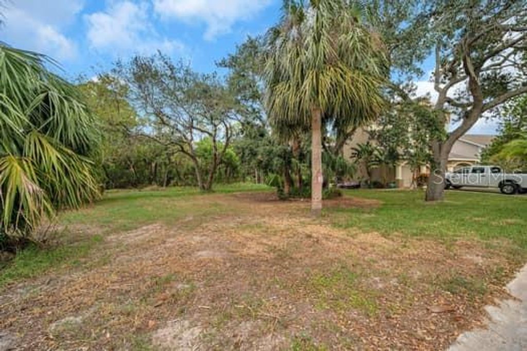 Photo of Brightwaters Court, New Port Richey, FL 34652 (MLS # U8214517)