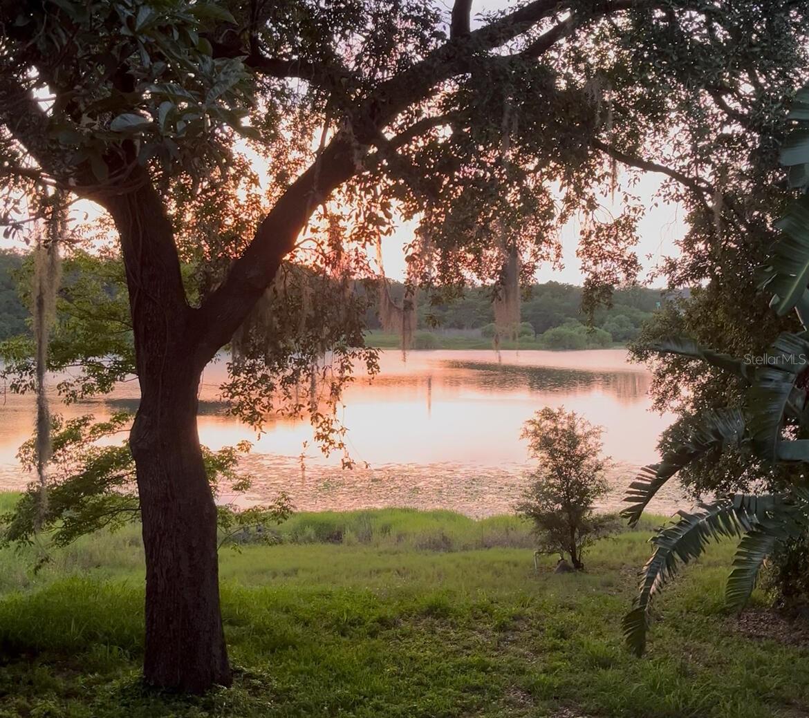 238 LAKE DRIVE