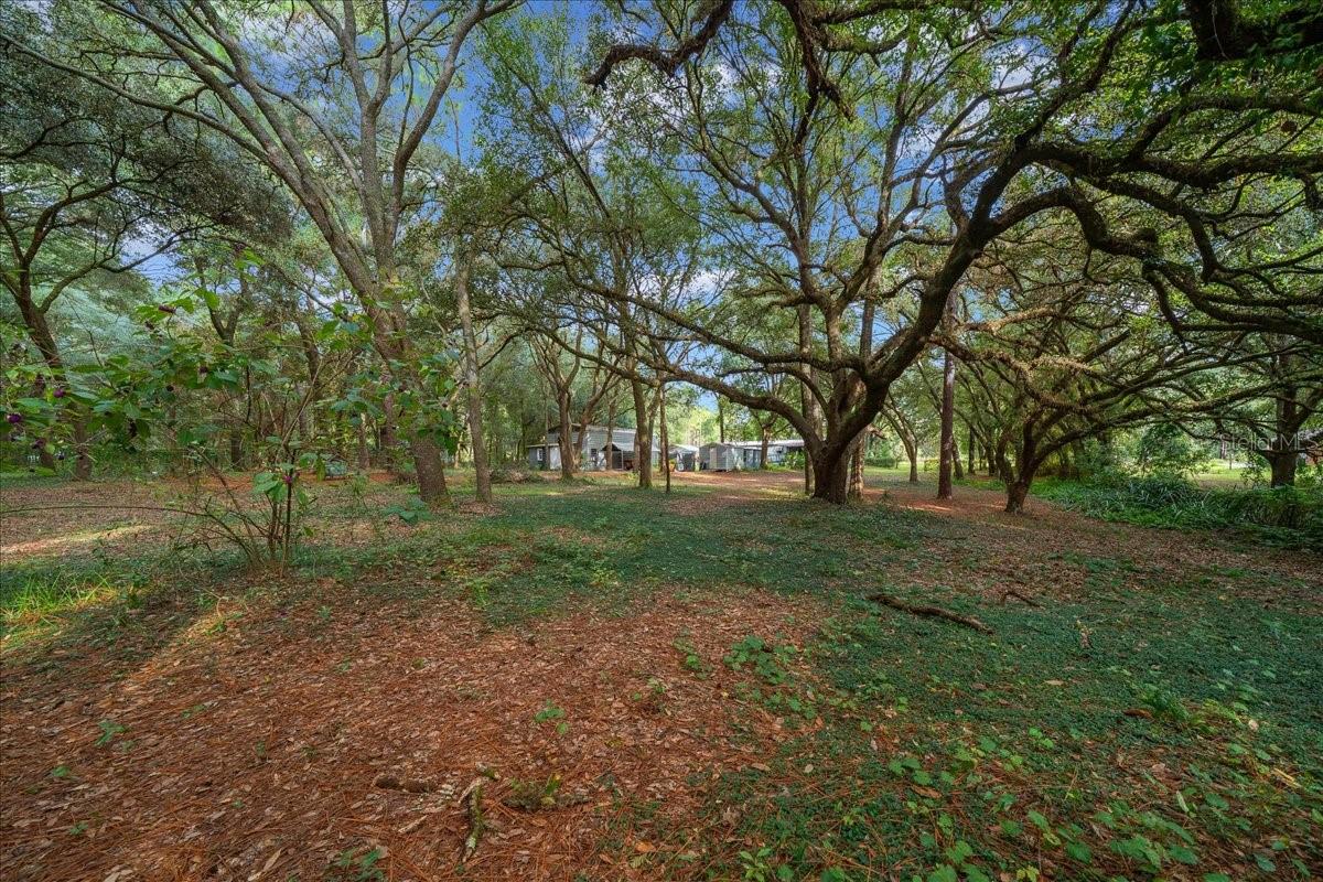 FLORIDA HIGHLANDS - Residential