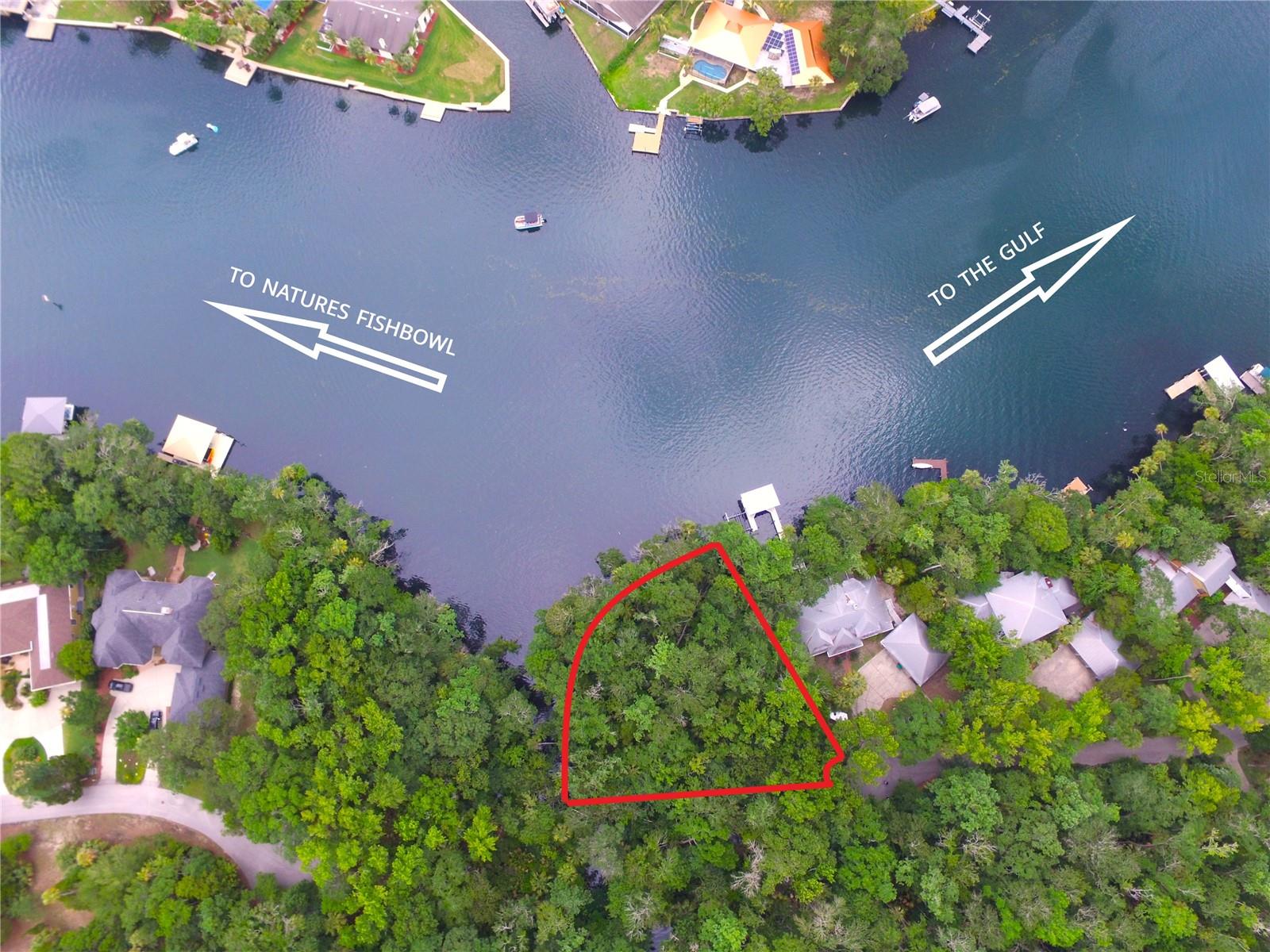 Rare opportunity to own a large residential waterfront lot right on the Homosassa River! Over 1/2 acre, this cul-de-sac lot is located at the end of a tree-lined road and bordered on one side by a conservation area. With Nature's fishbowl, a part of Homosassa Springs located approximately 1/4 mile up-river, the water behind this lot is frequently visited by manatee, bottle-nosed dolphin, and a wide variety of freshwater and saltwater fish that swim up-river from the Gulf of Mexico. This lot is truly a slice of paradise!