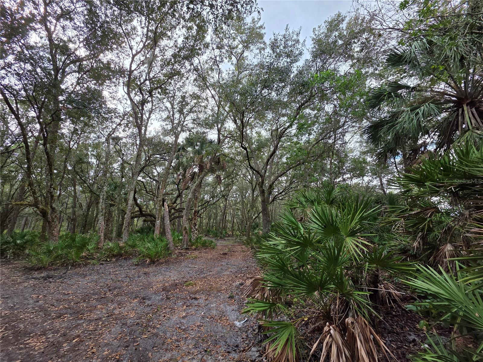 LAKE HAVEN ACRES - Land