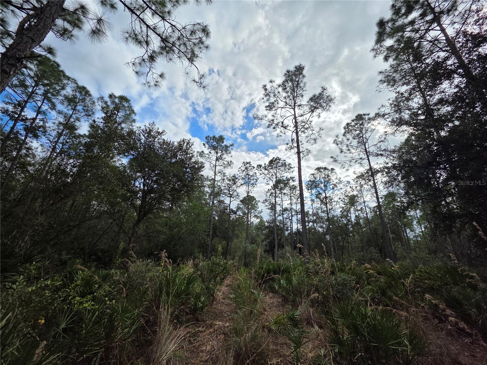 LAKE HAVEN ACRES - Land