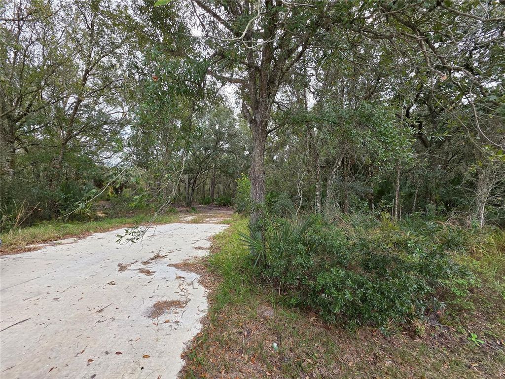 Photo of 0 State Road 60 E, Lake Wales, FL 33898 (MLS # P4937405)