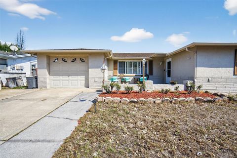 Photo of 11220 Glover Road, Port Richey, FL 34668 (MLS # A4685129)