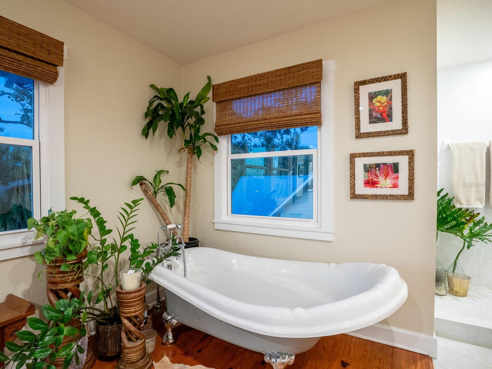 RICHARDS ADD TO PALMETTO CONTINUED - Residential